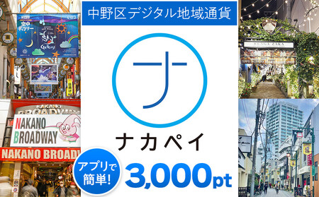 ナカペイふるさと納税ポイント 3,000円分 |キャッシュレス キャッシュレス