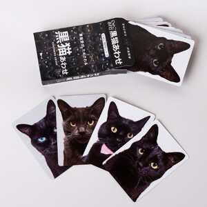 難易度MAXのツンデレ仕様!黒猫あわせ