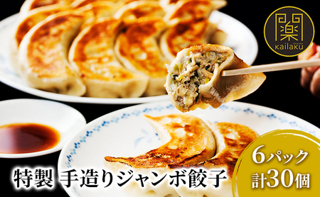 開楽特製　手作りジャンボ餃子 6パック 計30個　餃子 ぎょうざ ギョーザ 手作り餃子 手作り 老舗 冷凍 焼くだけ 簡単 時短 おかず おつまみ グルメ お取り寄せ 豊島区 東京都 加工品 惣菜 