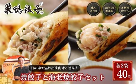 巣鴨餃子 焼餃子と海老焼餃子 の組み合わせ 各2袋 40個 餃子 ぎょうざ ギョーザ セット 食べ比べ 冷凍 焼き餃子 おかず おつまみ お取り寄せ 豊島区 東京都