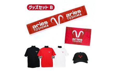 エリース豊島グッズセットB チームロゴタオルマフラー タオル チームロゴ ローキャップ 帽子 キャップ ロゴプリントTシャツ フラッグ グッズ 雑貨 スポーツ サッカー クラブチーム 豊島区 東京都 XL・ブラック