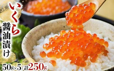 いくら醤油漬け 250g(50g×5)[2025年10月発送] いくら 海鮮 北海道 イクラ 冷凍 醤油漬け 海産物 045-a008-10