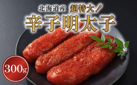 �h�q�����q�i�k�C���Y�j300���@������