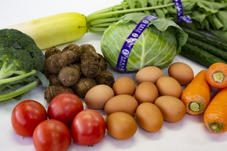 東京・八王子産 とれたて新鮮野菜&卵の詰め合わせセット