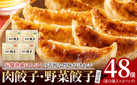 長期熟成にんにくの芳醇な旨味が決め手 肉餃子・野菜餃子詰合せ 48個入り (肉餃子・野菜餃子 各12個入×2パック)