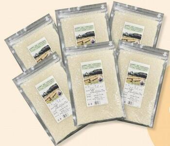 q̖͂𔭐MAeiVbvBu͂܂Xe[VvZNgy}SzqY@V(450g×6)