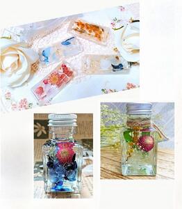 yArt gracezy̌bXzn[oEun[oEi~j{gǰPl