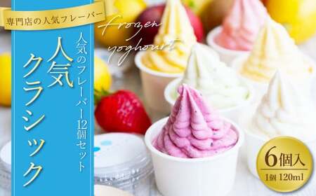 人気クラシック 6個セット 120ml×6個 合計720ml 詰め合わせ セット