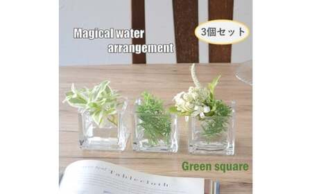 マジカルウォーターアレジメント グリーンスクエア 3個 セット インテリア 水替え不要 お手入れ不要