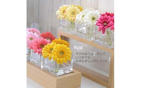 [イエロー] マジカルウォーター 「 ガーベラ スクエア 」