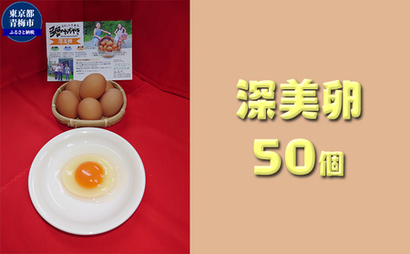 Ȃ׌{_̂̂܂[܂50/ Y ~sY {   ܂ ^}S ʎq H  sjf ł܂ ԋ   N Z ~s