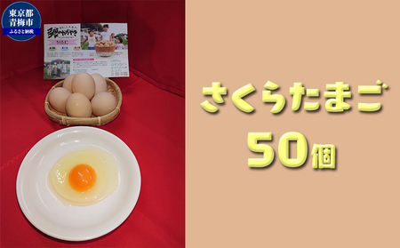 Ȃ׌{_̂̂܂炽܂50/ Y ~sY {   ܂ ^}S ʎq H  sjf ł܂   N A~m_ ~s