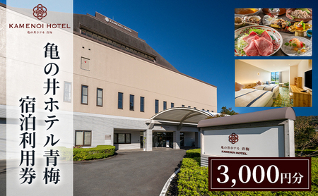 亀の井ホテル青梅宿泊利用券(3,000円分)会席料理 温泉 自然 家族 愛犬 奥多摩 多摩川 森渓リゾート 東京都 青梅市