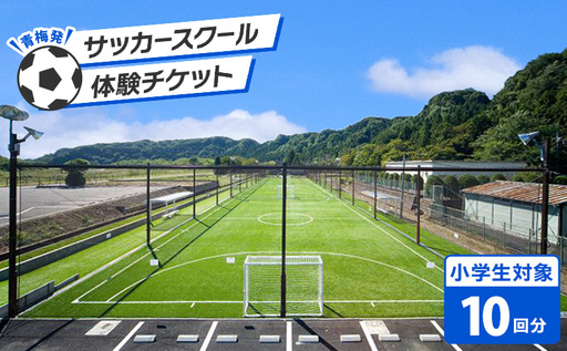 [寄付前にお問い合わせお願いいたします]次のステージを目指す選手へ。小学生対象 青梅発のサッカースクール 体験チケット (10回分)
