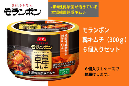 【モランボン】韓キムチ300g　6個入
