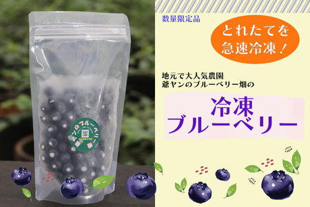 [爺ヤンのブルーベリー畑]冷凍ブルーベリー