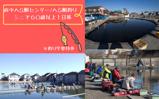 府中へら鮒センター/へら鮒釣り　シニア６０歳以上１日券※釣り竿要持参