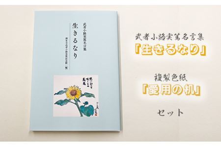 武者小路実篤名言集『生きるなり』と複製色紙「愛用の机」セット