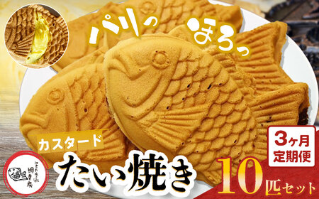 [ 3回 定期便 ]鯛焼き カスタード 10匹 セット 