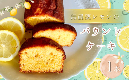 ���_�� ������ �� �p�E���h�P�[�L 1�{ | �Ă��َq �X�C�[�c ���َq �ĉَq �m�َq �P�[�L �p�E���h ���� �� �u�₩ ���I �V���v�� ���[�����킢 ���y�o�^�[ �k�C���Y ������ �O���j���[��