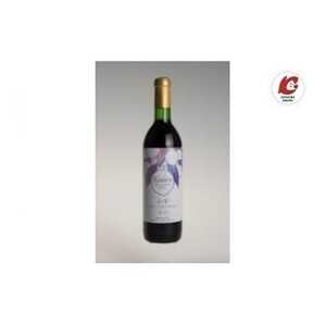 ブルーベリーワイン・スタンダード辛口 1本【1652414】