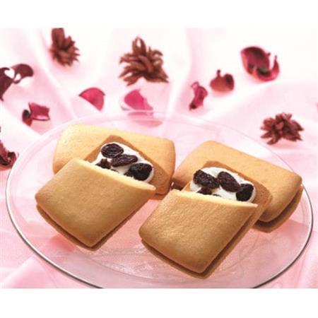 銀座千疋屋の銀座レーズンサンド (PGS-291)[配送不可地域:離島・沖縄県]