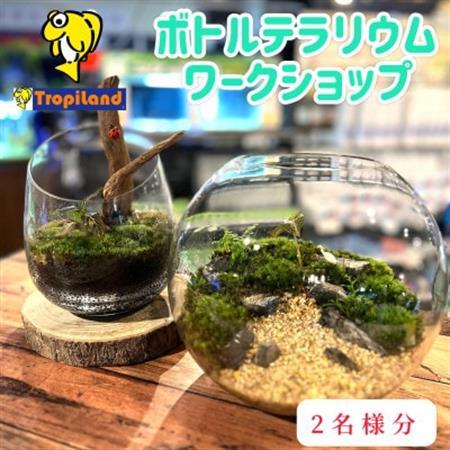 ボトルテラリウムワークショップ 2名様分