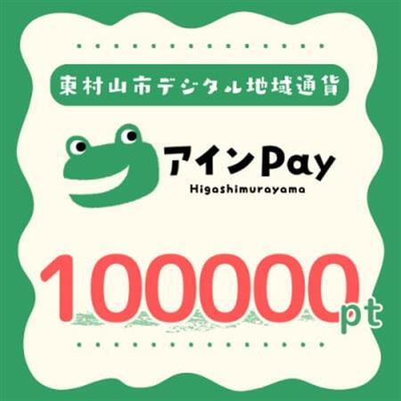 東村山市デジタル地域ポイント『アインPay』100,000ポイント【1693156】
