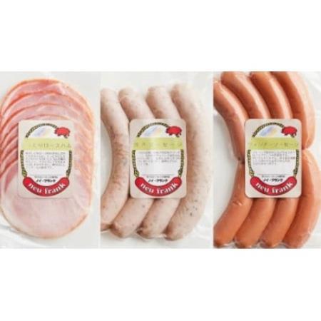 ノイ・フランク　ハム(100g)・ソーセージ2種(計12本)のセット【配送不可地域：離島】【1571362】