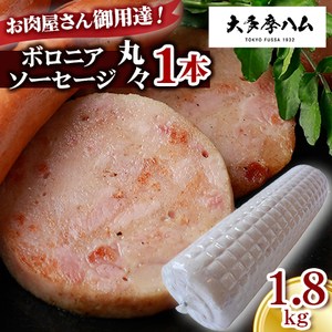 y命nzpB!{jA\[Z[WہX1{ 1.8kgyzsnFzy1626333z