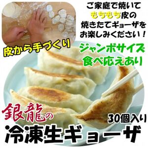 冷凍餃子30個[配送不可地域:離島]