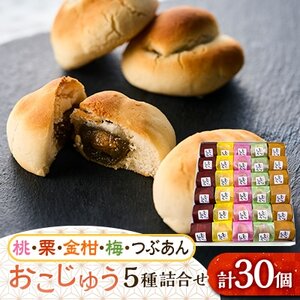 おこじゅう詰め合わせ(30個入)【お茶ぞっぺの中島屋(あきる野の匠)】【1509835】