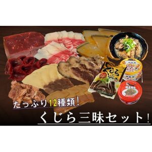 くじら三昧12種詰め合せセット[配送不可地域:離島]
