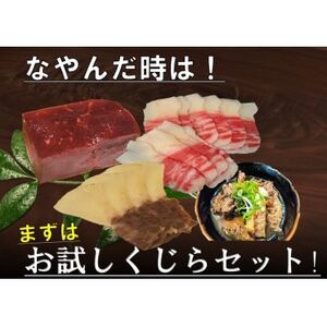まずはお試し、くじら詰め合せ4点セット 贈り物にも![配送不可地域:離島]
