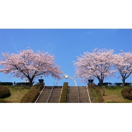 西多摩霊園　墓地購入(契約)のご利用券(450,000円分)【1515912】