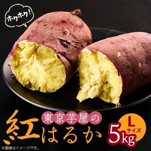 東京都産サツマイモ5kg(紅はるか)Lサイズ