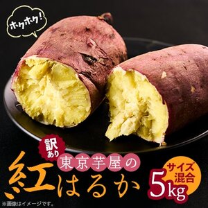 [訳あり]サイズ不揃い 東京都産サツマイモ5kg(紅はるか)