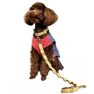 [創業48年]ドッグウェアブランドの「日本製 プリーツ リード&首輪セット」(ゴールド)