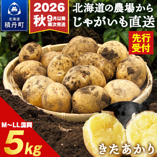 [2026年 秋 発送]積丹町産 きたあかり 5kg 数量限定 期間限定 じゃがいも 北海道 ジャガイモ 芋 いも
