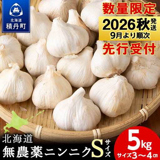 [数量限定]予約販売 無農薬ニンニク5kg(500g×10袋)無農薬 にんにくガーリック
