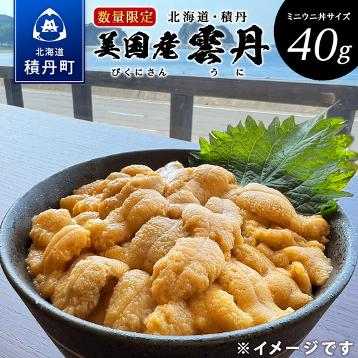 [期間限定][2026年発送予約]美国産雲丹40g ミニウニ丼サイズ 北海道 ウニ うに