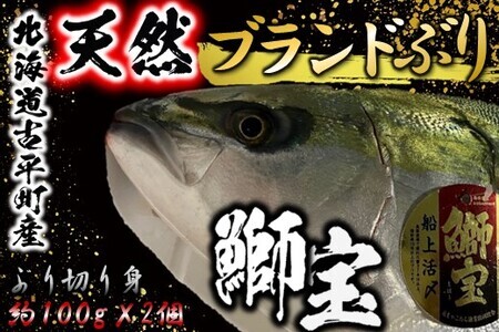 [FN]北海道産天然ぶり 「鰤宝(しほう)」 柵どり