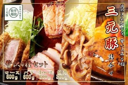 [FN]日本の米育ち平田牧場三元豚ブロック･挽肉詰合せ(4種)