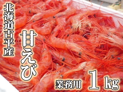 [FN][業務用]北海道古平産 漁師直送! 甘えび1kg