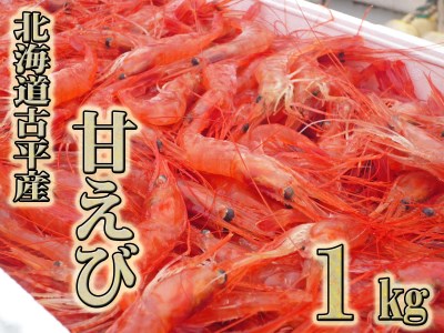 [FN]北海道古平産 漁師直送! 甘えび1kg