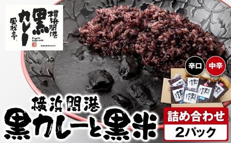 風我亭の横浜開港黒カレーと黒米の詰め合わせ 2パック[辛口1個、中辛1個]