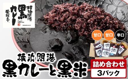 風我亭の横浜開港黒カレーと黒米の詰め合わせ 3パック[甘口2個、辛口1個]