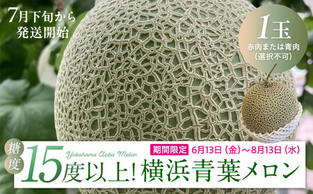 糖度１５度以上！横浜青葉メロン１玉（赤肉または青肉）（7月下旬から発送開始）