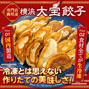 全て国産食材、銘柄豚使用！肉汁あふれる！【横浜大宝餃子】もちもち国産ジャンボ大宝餃子120個（30個×4）老舗餃子メーカー 横浜中華 焼餃子 冷凍餃子 ギョーザ ぎょうざ 大きい 中華 おかず 惣菜 ギフト プレゼント AKN0005