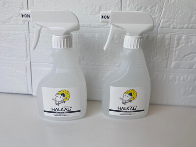 強アルカリイオン洗浄水(300mL×2本)